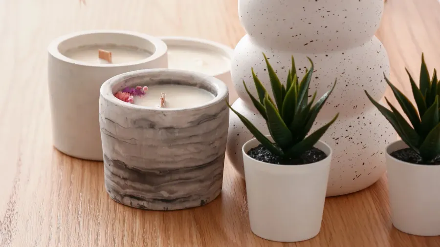 holders with candles and houseplants on table in room