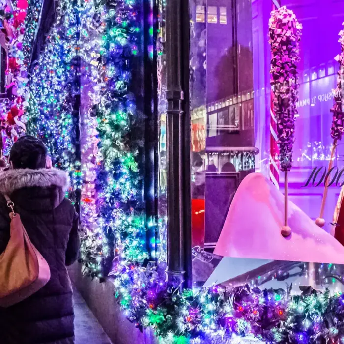 From snowy walks to skyline views, the coolest things to do in New York this winter