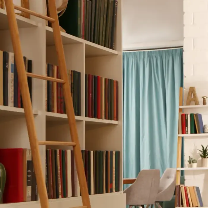 Is Bookshelf Wealth Trend Worth the Hype?