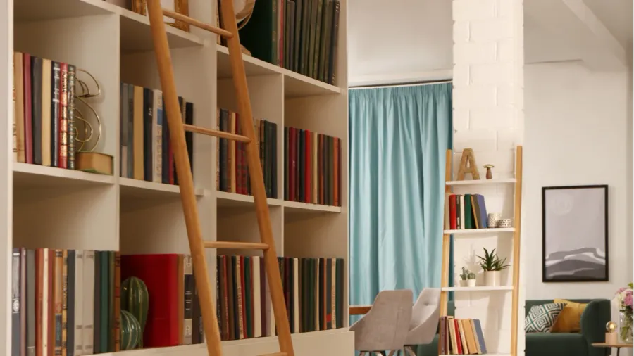 A home library interior with collection of different books and decor accents on shelves.