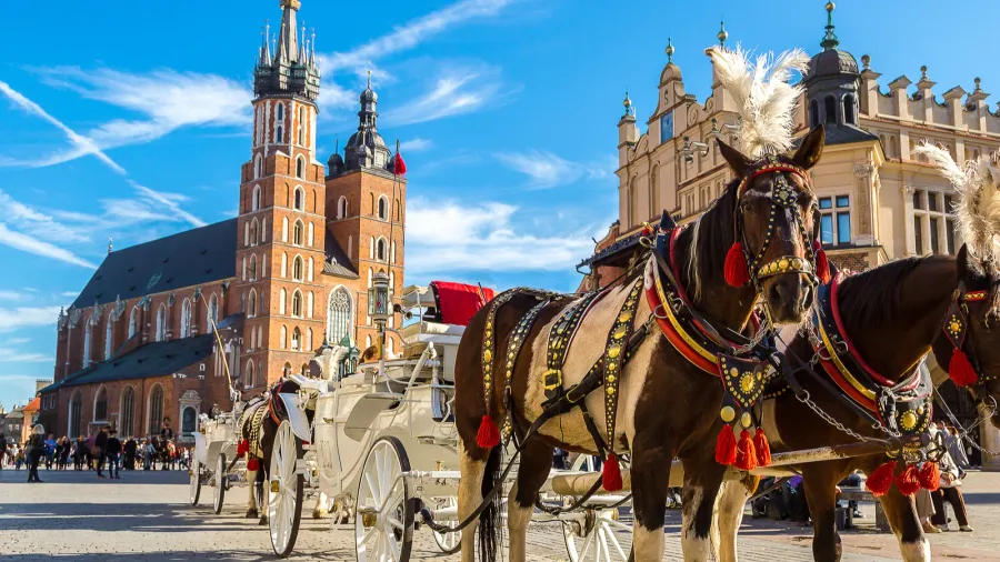 horse carriages at main square in krakow