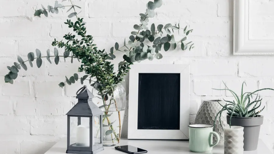 Houseplants with blank chalkboard and a lantern in front of white brick wall.