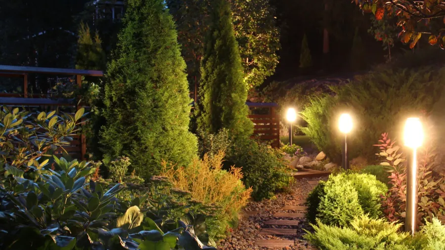 illuminated garden path patio