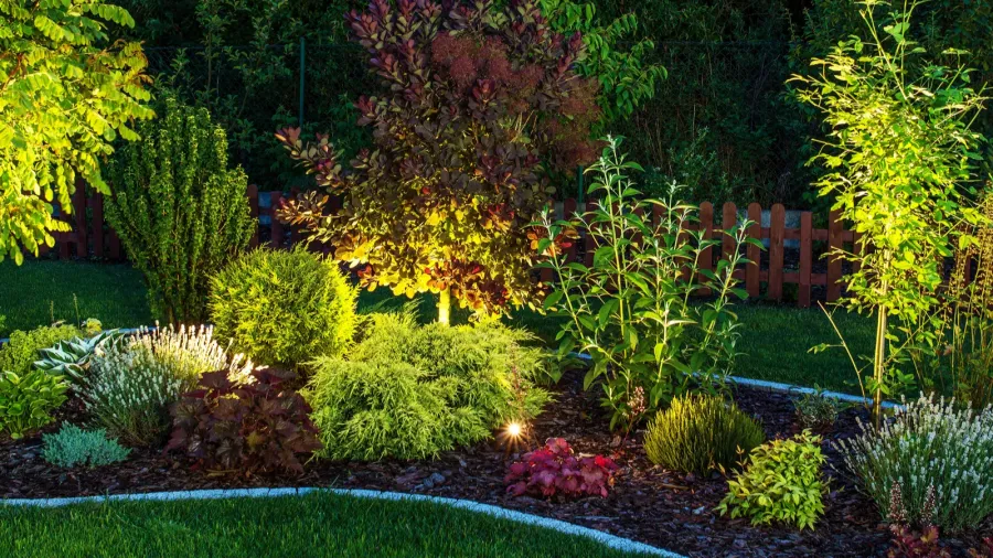 A beautifully lit garden at night featuring spotlights in flower beds that highlights plants and trees for a warm, inviting look.