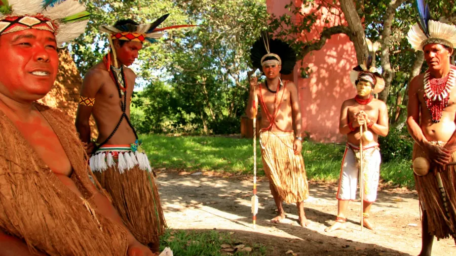 indian pataxos of bahia