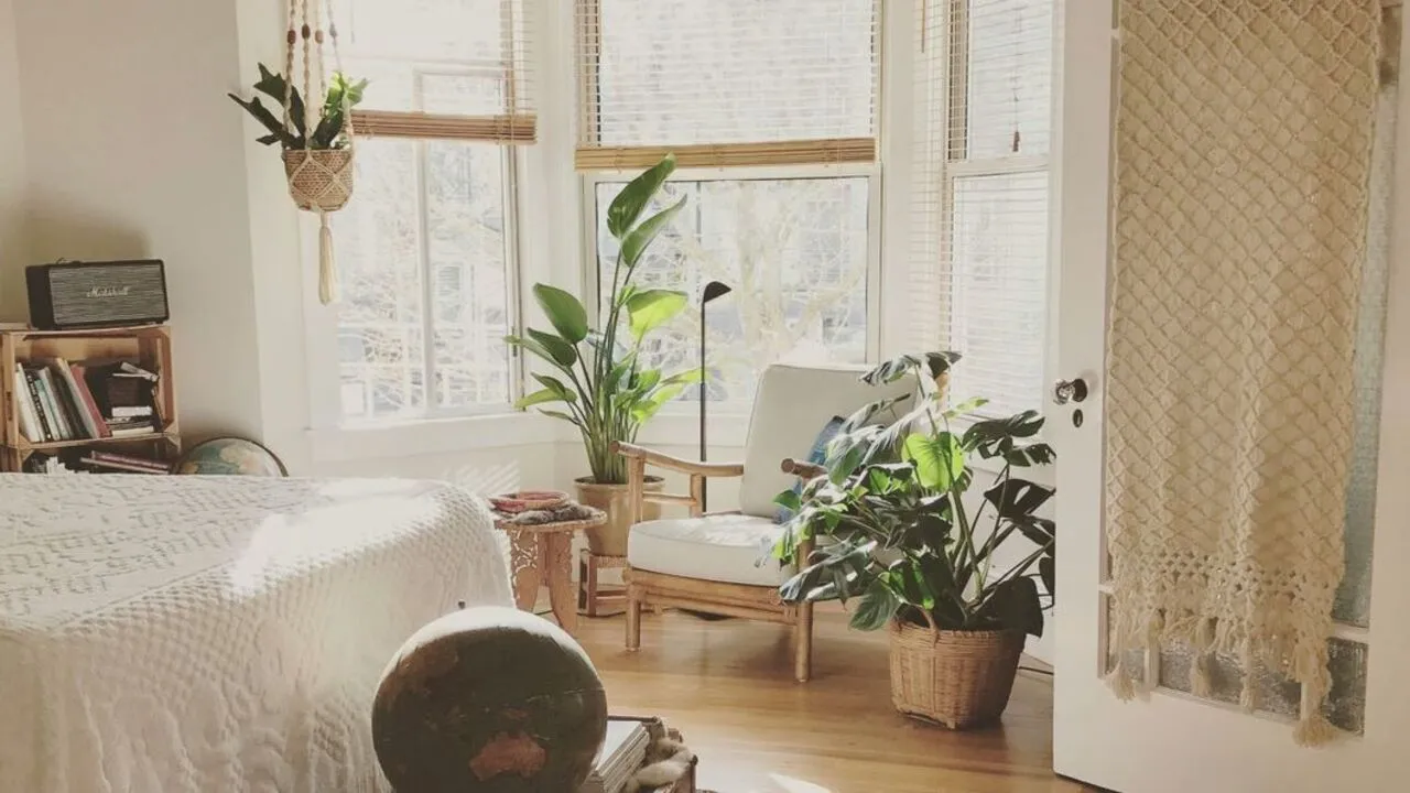 Display indoor plants creatively.