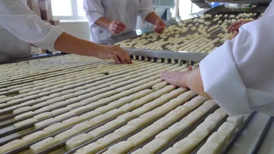 industrial candy production process in a food factory workers sorting