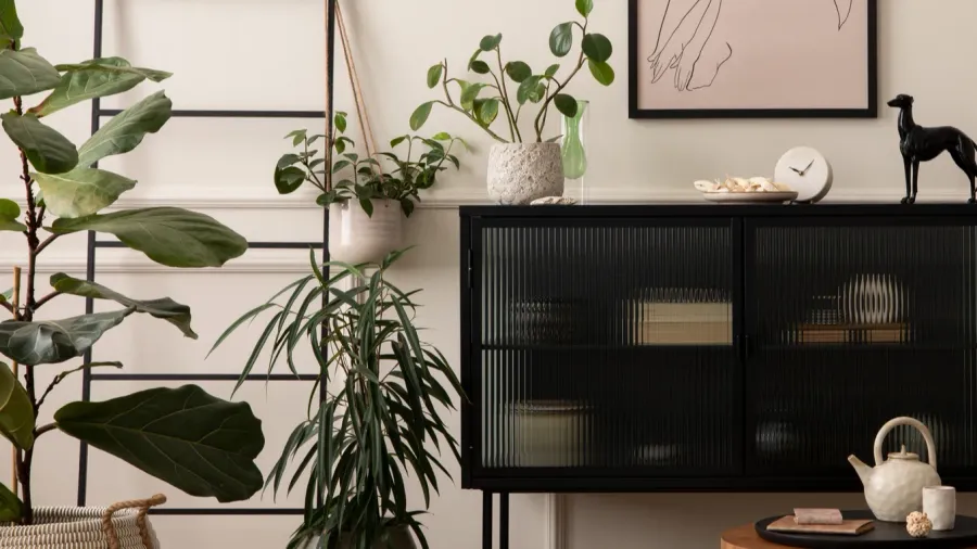 A living room with houseplants, ladder, and black console table with decor accents and small potted plant.