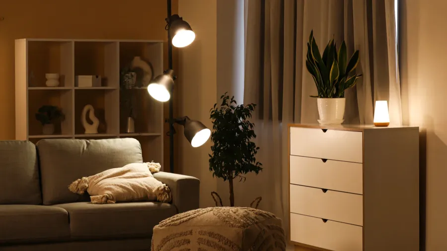 A cozy living room interior with sofa, floor cushion, shelf with decor accents, floor lamp, and small table lamp and potted plant on a console table.