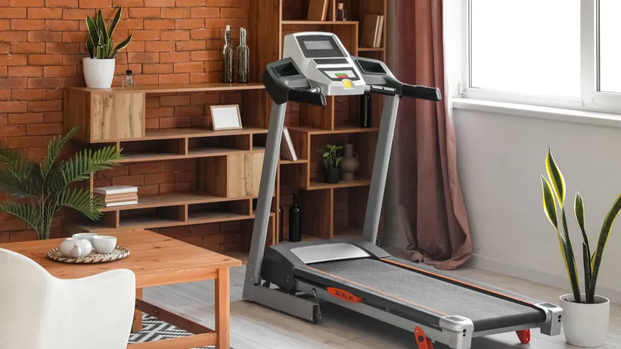 A treadmill in a cozy room with wooden shelves and green plants.