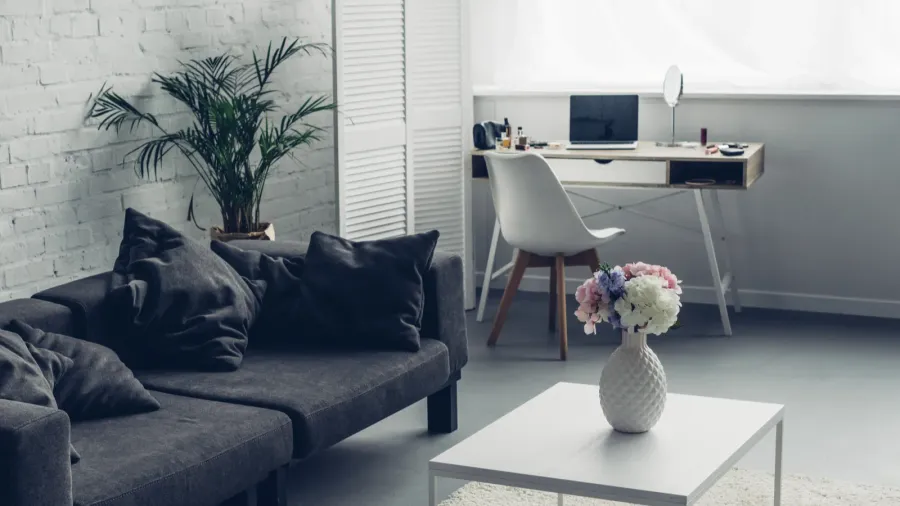 interior of modern living room with couch and workplace with