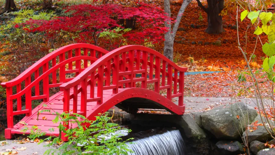 japanese garden