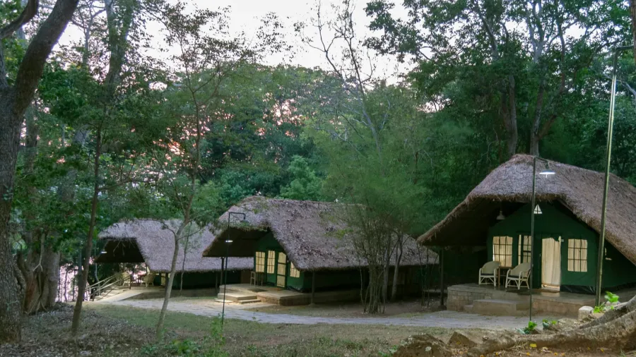 jungle lodges and resorts forest camp at kabini karnataka india