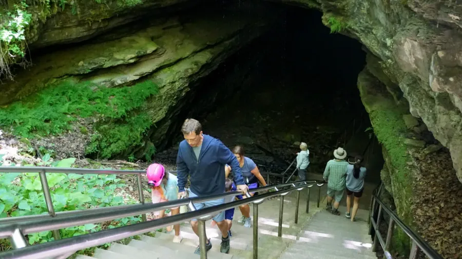 kentucky usa  june 16 2021  the visitors walking