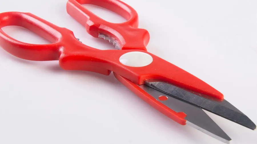 kitchen scissors on a background