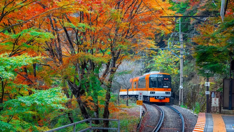 kyoto japan  november 16 2024 eizan electric railway is
