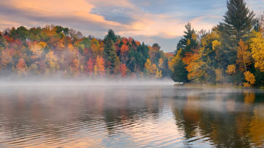 lake autumn foliage