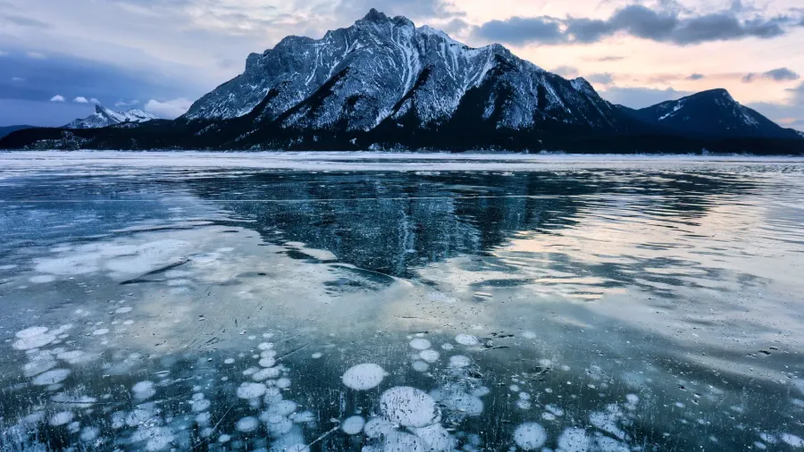 landscape of natural bubbles frost on frozen abraham lake with