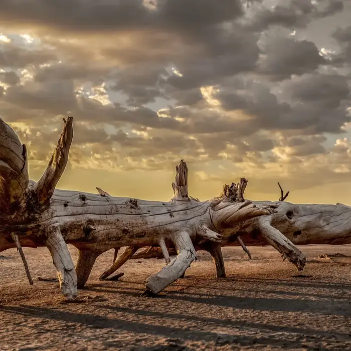 Locals reveal the hidden secrets of California’s most haunted desert