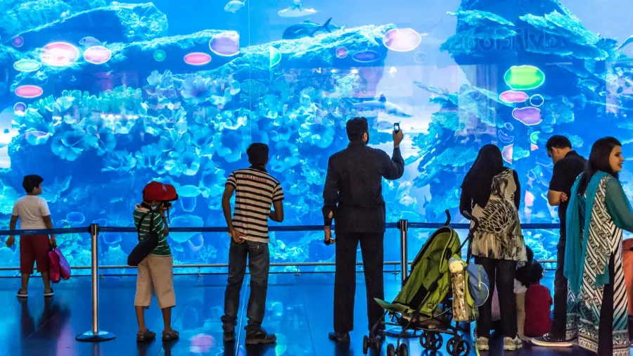 largest aquarium of the world in dubai mall