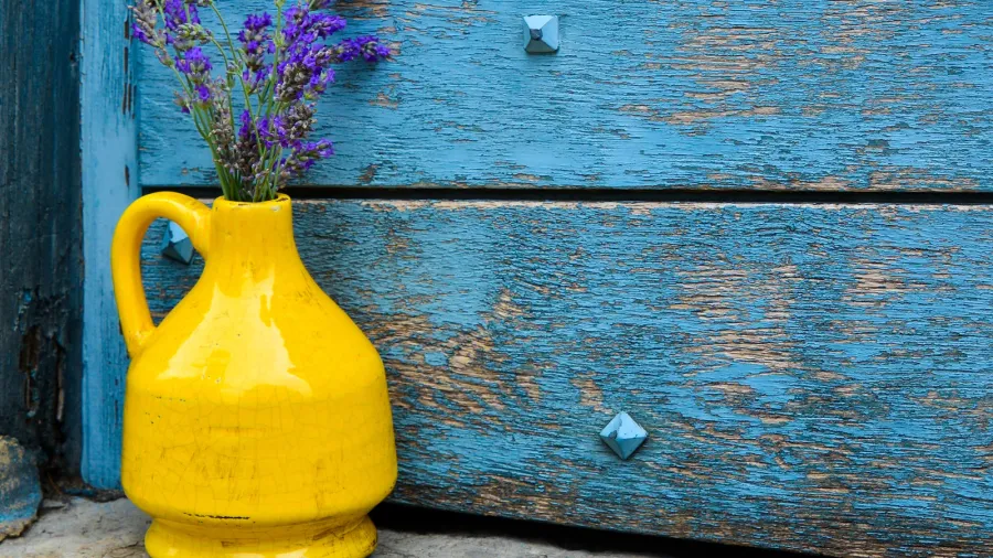 lavender in a yellow vase on a background of blue