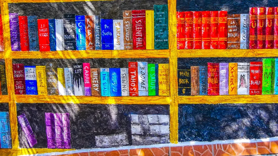 library with colorful graffiti wall in playa del carmen quintana