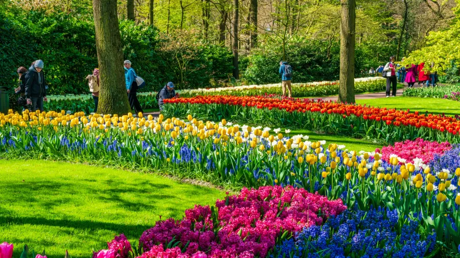 lisse holland  april 19 2023 visitors enjoy blooming tulips