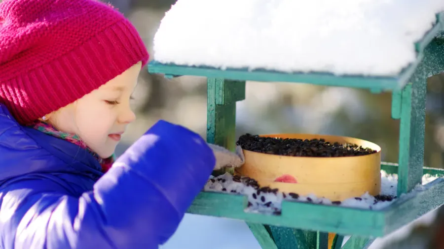 little girl feeding birds