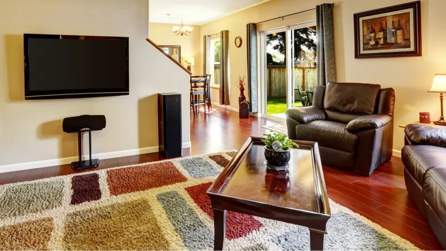 living room interior with tv and colorful rug
