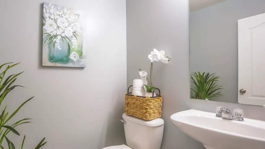 lovely home bathroom interior decorated with flowers plants and painting