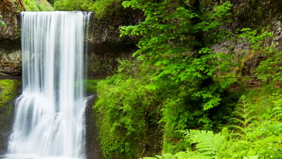 lower south falls silver falls state park oregon usa