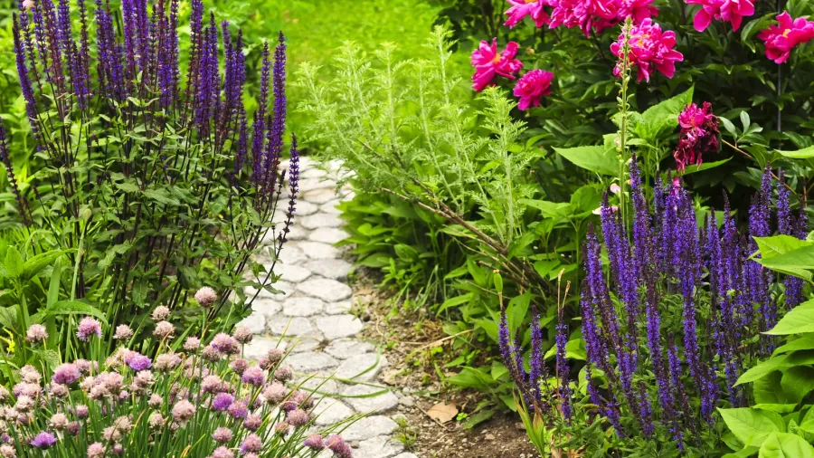 lush blooming summer garden with paved path