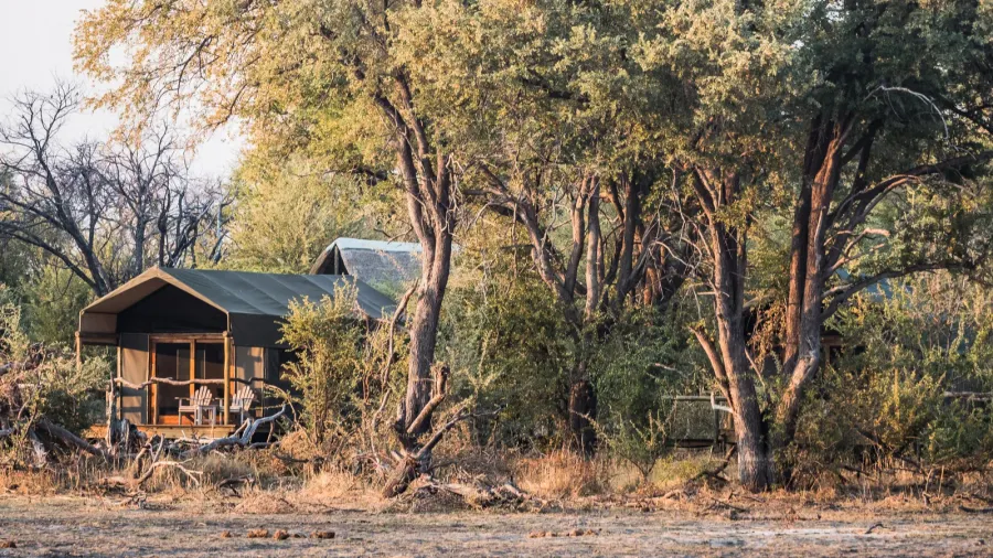 luxury safari tent in a tented camp in the okavango