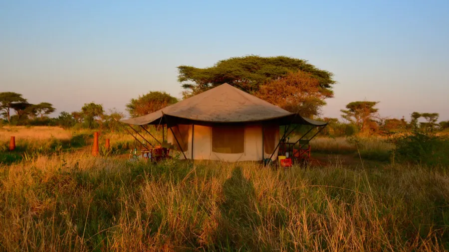 luxury tented safari camp serengeti during sunset