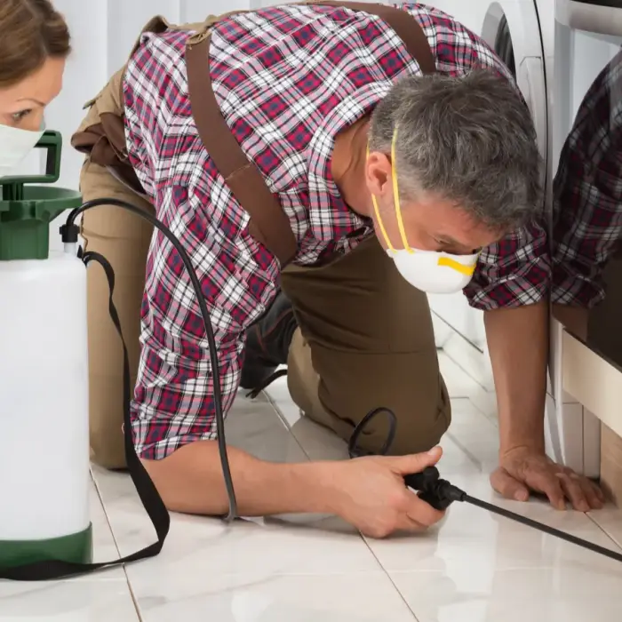 End Cockroach Nightmares with These Quick Fixes