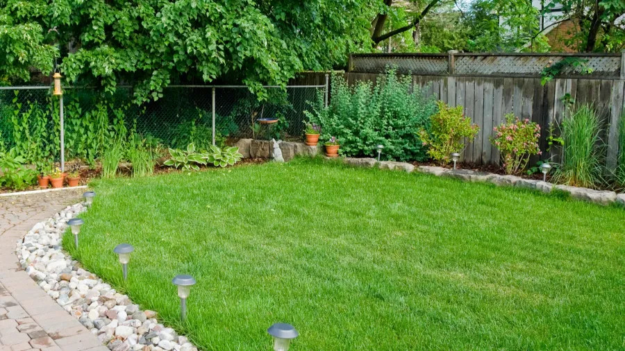 manicured garden