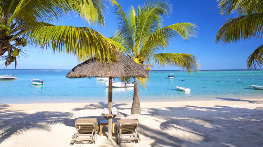 mauritius palm beach