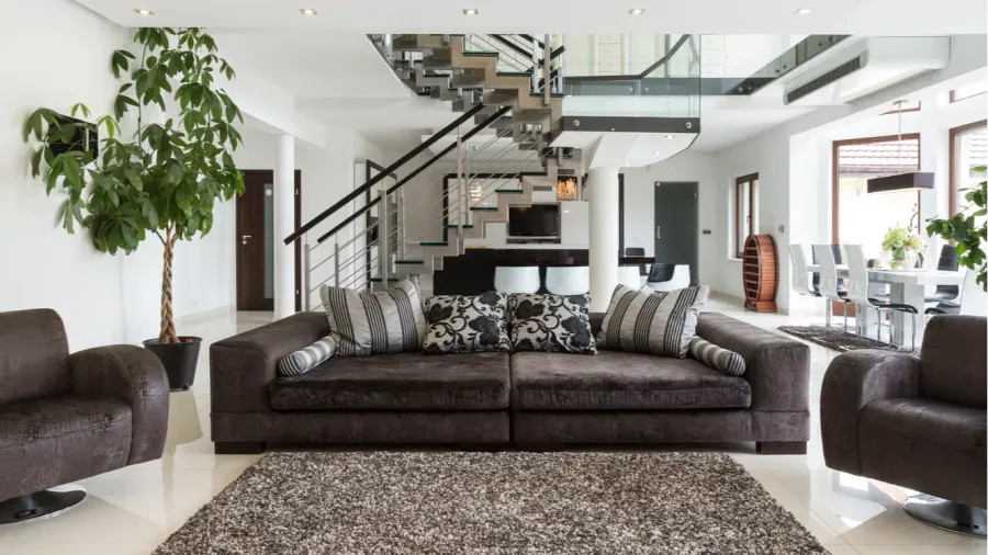 A luxurious living room interior with sofa, houseplant, and rug.