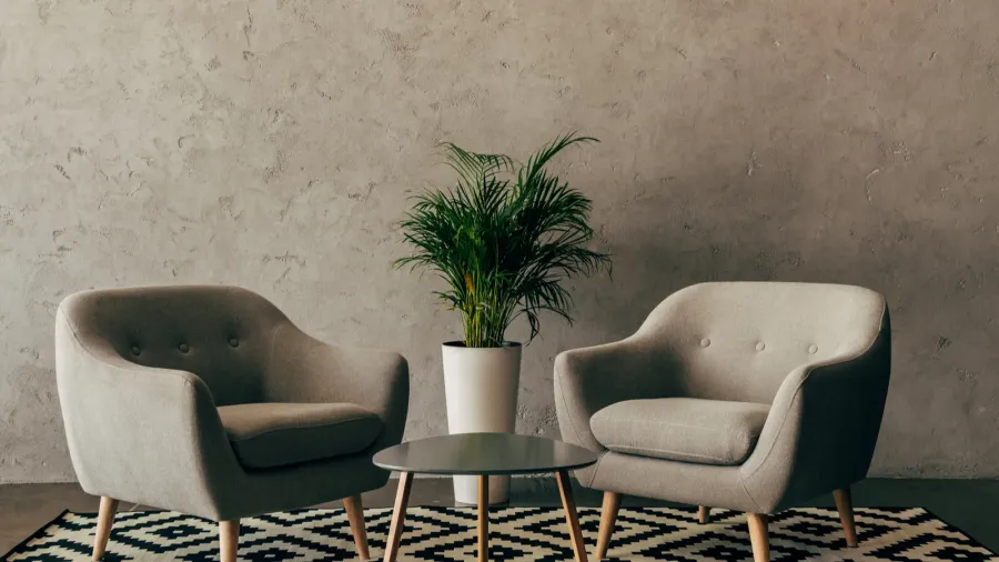 A living room interior with cozy gray armchairs, coffee table, rug, and a plant in front of a concrete wall.