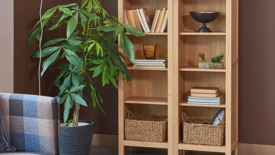 A wooden bookshelf with books, decor accents, and woven storage baskets in a living room with a houseplant beside it.