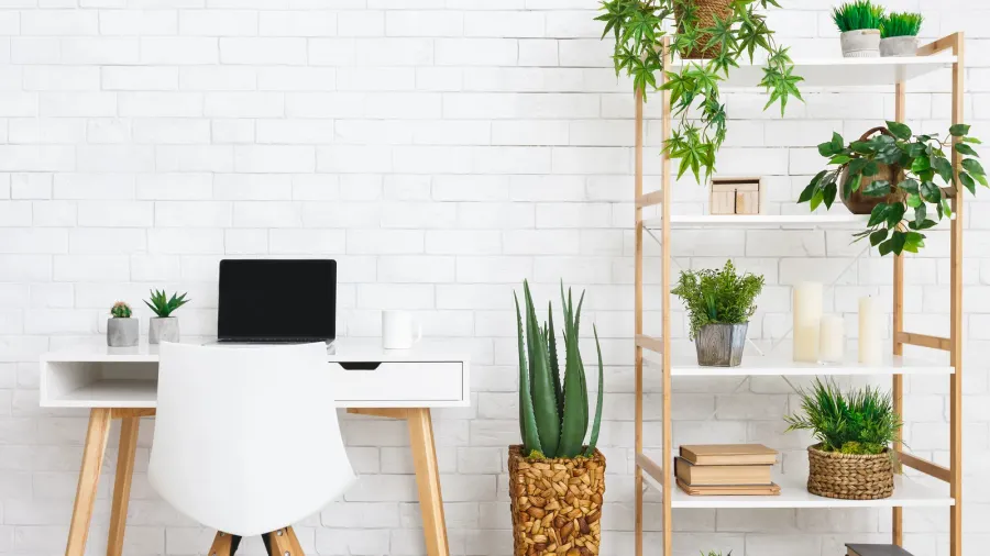 modern work place