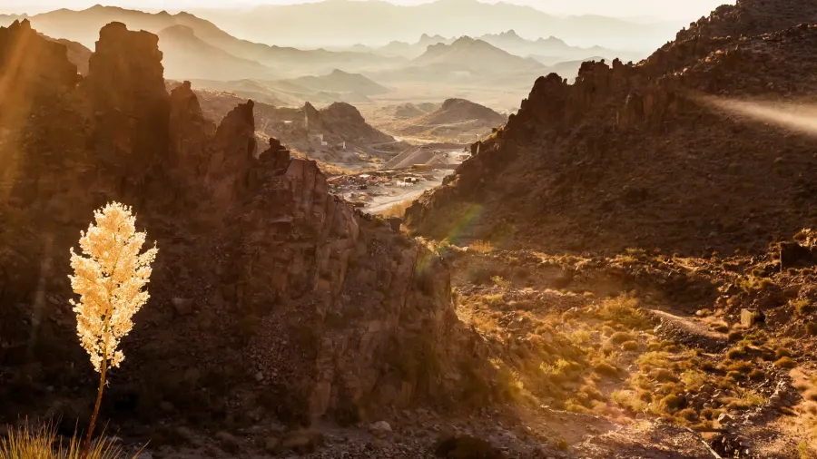 mojave desert landscape