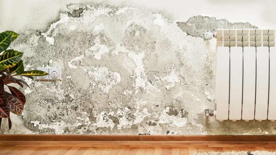 mold and moisture buildup on wall of a modern house