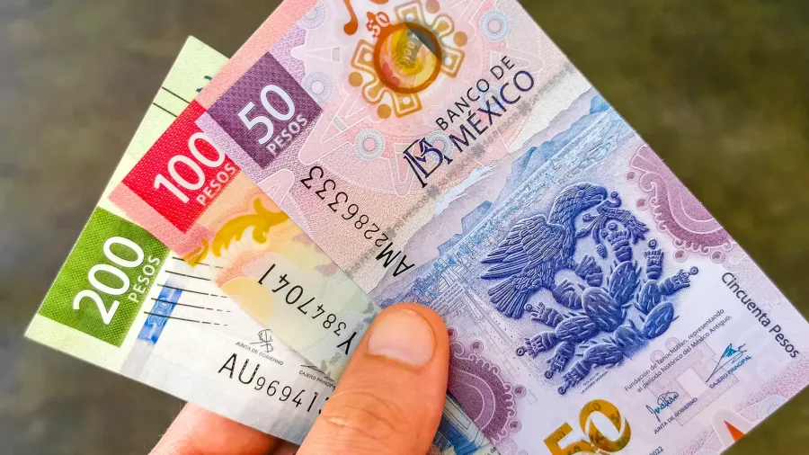 money mexican peso bills in hand in zicatela puerto escondido