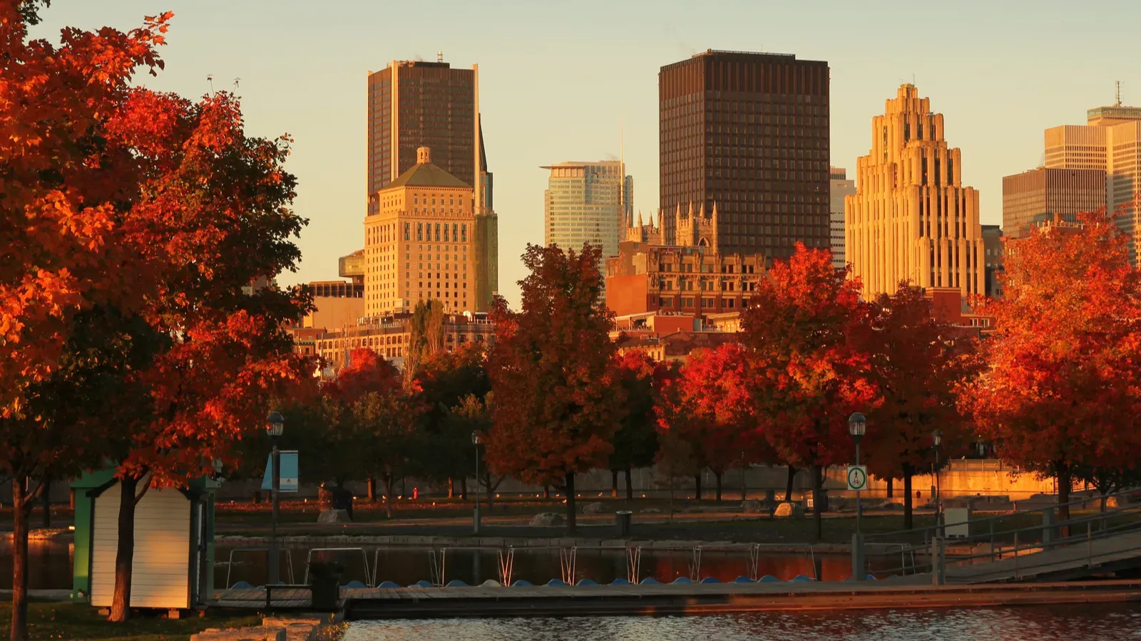 A scenic view of the Montreal skyline.