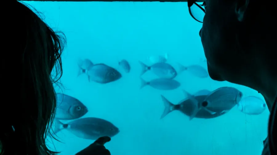 mother and daughter looking at fish through a glass in