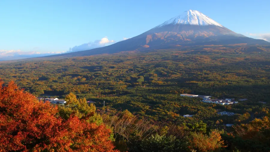 mt fuji in autumn