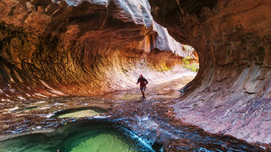 narrows in zion national park