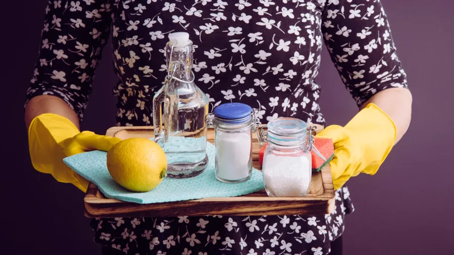 natural cleaners concept woman holding eco friendly home cleaning ingredients