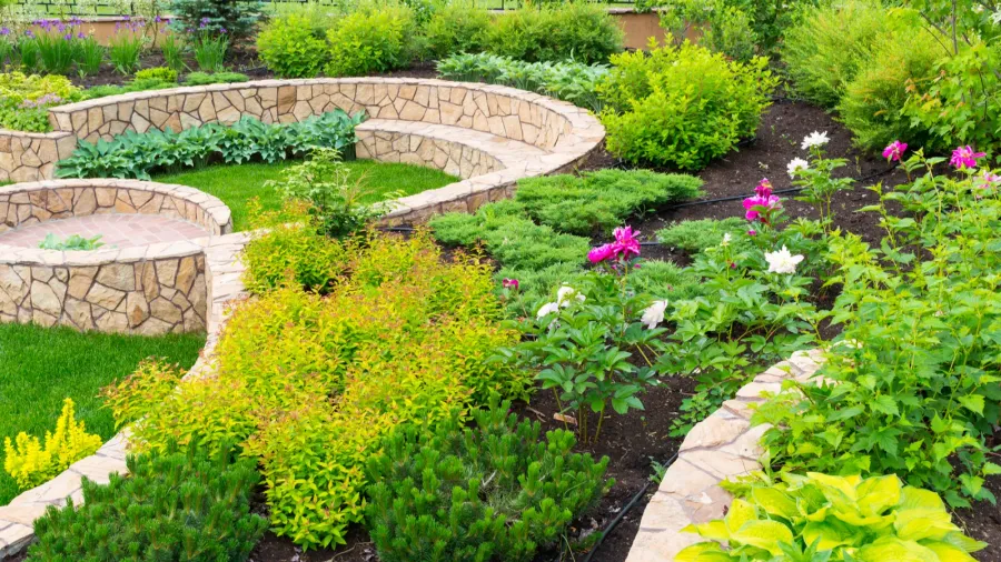 Curved stone beds filled with vibrant green plants and flowers.